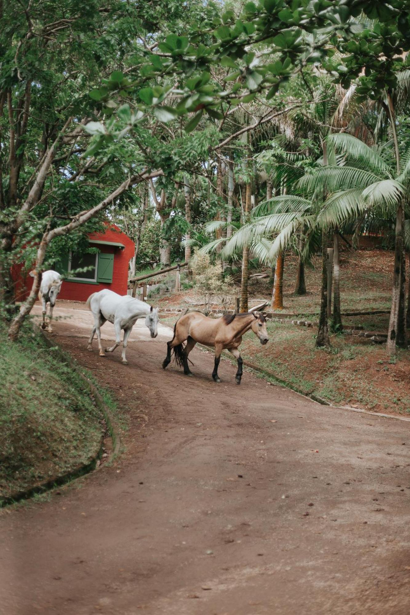 La Vieille Cheminee, Tropical Farm & Eco-Lodges Chamarel Exterior foto